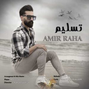 تسلیم - امیر رها
