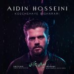 دانلود آهنگ آیدین حسینی کوچه های بی قراری