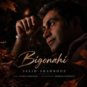 بی گناهی - سعید شهروز